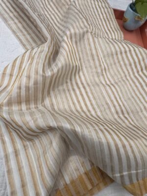 Handwoven Chanderi pure tissue saree With Blouse