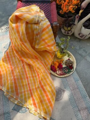 WhatsApp Image 2025-03-04 at 19.57.40_87787f9d Kota Silk Laheriya Saree