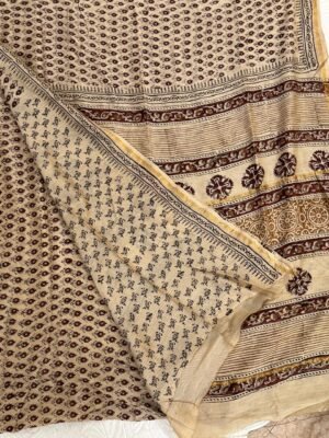 WhatsApp Image 2025-08-16 at 21.44.24_b09c9c92 Chanderi Silk Handblock Print Saree with Blouse