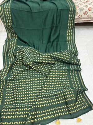 Chanderi Silk Appliqué Saree with Blouse