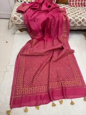 WhatsApp Image 2025-11-22 at 13.02.50 Chanderi Silk Appliqué Saree with Blouse