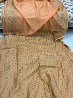 WhatsApp Image 2025-11-22 at 13.04.16 (1) Chanderi Silk Appliqué Saree with Blouse