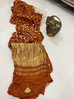 WhatsApp Image 2025-11-26 at 08.37.54 Modal Silk Bandhani Saree with Tissue Pallu & Blouse