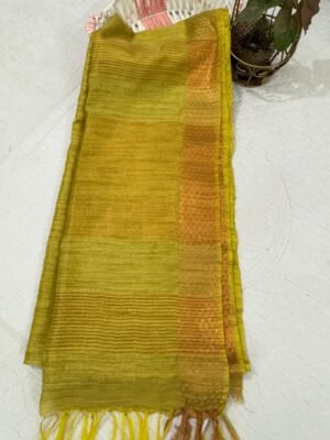 Handloom Silk Saree with Blouse