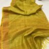 Handloom Silk Saree with Blouse