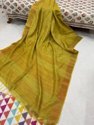 Handloom Silk Saree with Blouse